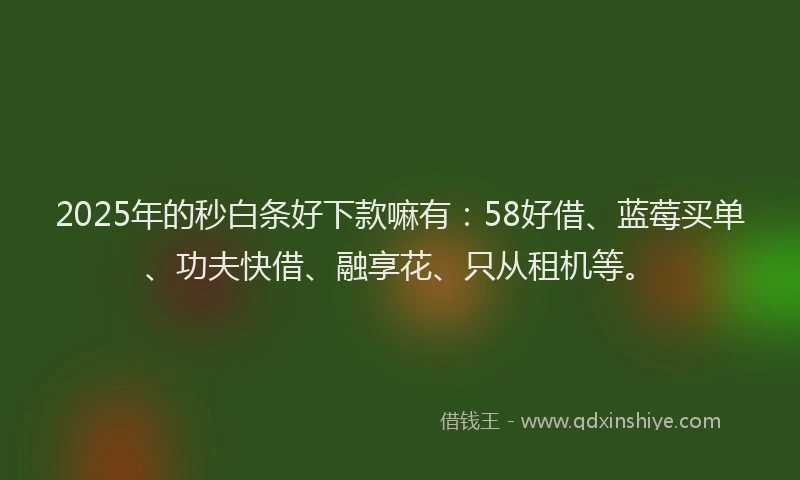 2025年的秒白条好下款嘛有：58好借、蓝莓买单、功夫快借、融享花、只从租机等。