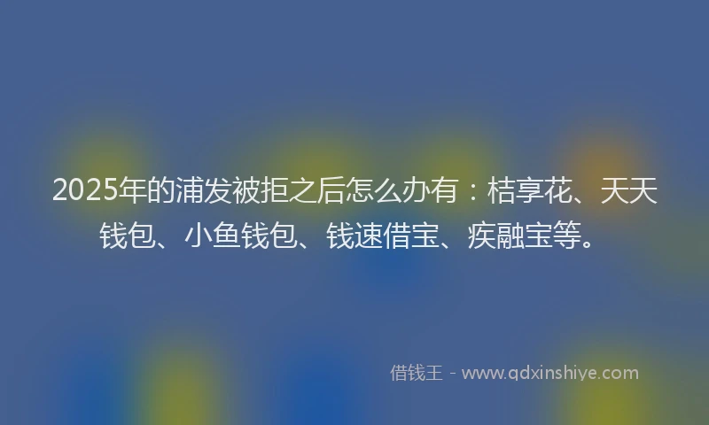 2025年的浦发被拒之后怎么办有：桔享花、天天钱包、小鱼钱包、钱速借宝、疾融宝等。