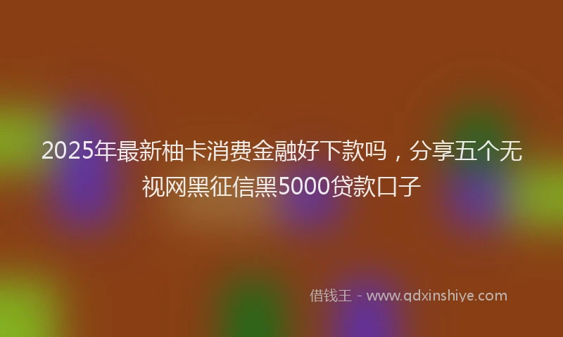 2025年最新柚卡消费金融好下款吗，分享五个无视网黑征信黑5000贷款口子
