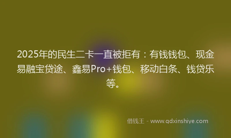 2025年的民生二卡一直被拒有：有钱钱包、现金易融宝贷途、鑫易Pro+钱包、移动白条、钱贷乐等。