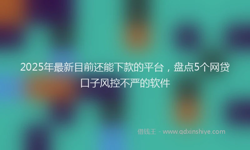 2025年最新目前还能下款的平台，盘点5个网贷口子风控不严的软件