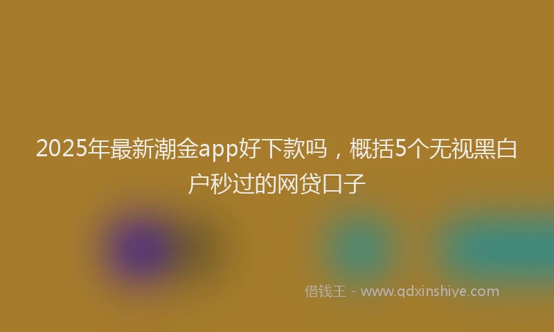 2025年最新潮金app好下款吗，概括5个无视黑白户秒过的网贷口子