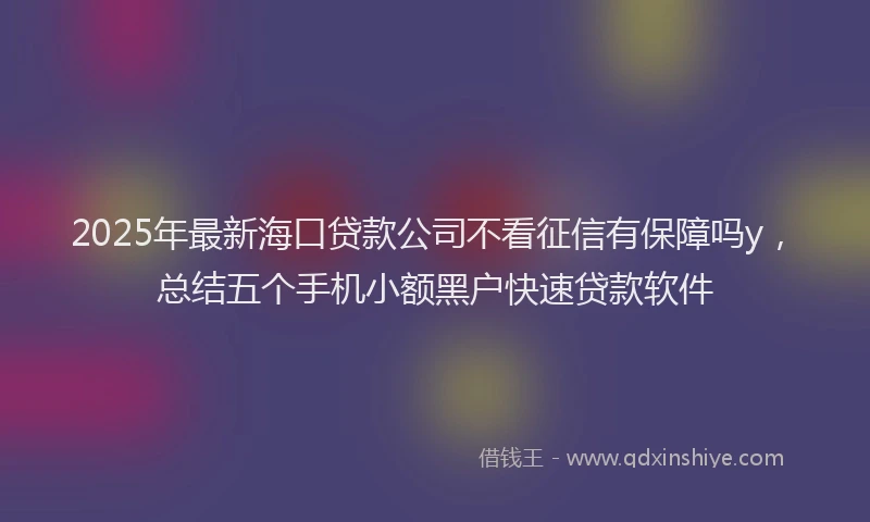 2025年最新海口贷款公司不看征信有保障吗y,总结五个手机小额黑户快速贷款软件