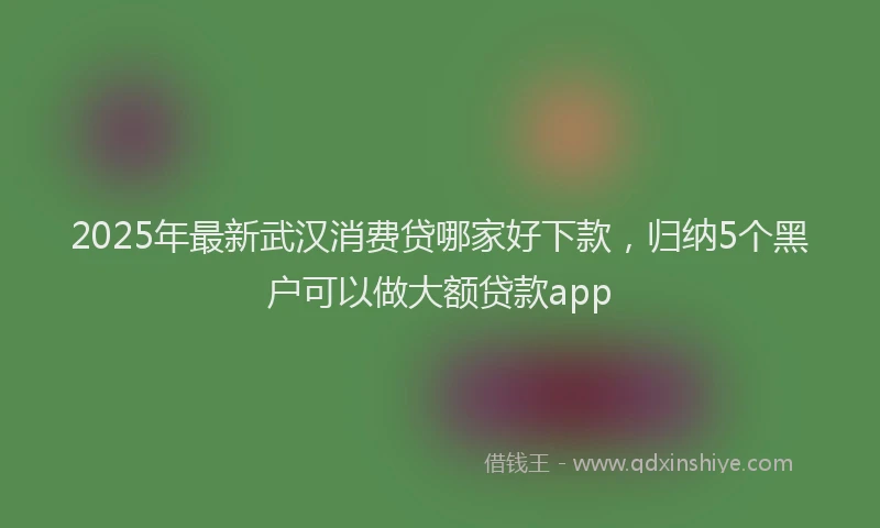 2025年最新武汉消费贷哪家好下款，归纳5个黑户可以做大额贷款app
