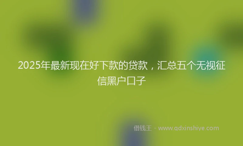 2025年最新现在好下款的贷款，汇总五个无视征信黑户口子