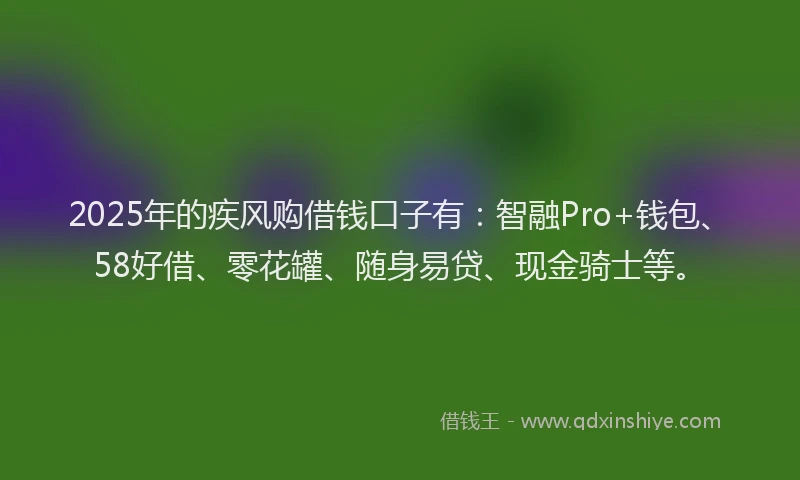2025年的疾风购借钱口子有：智融Pro+钱包、58好借、零花罐、随身易贷、现金骑士等。