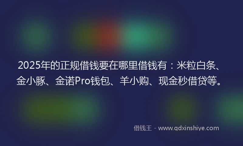 2025年的正规借钱要在哪里借钱有：米粒白条、金小豚、金诺Pro钱包、羊小购、现金秒借贷等。