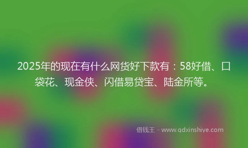 2025年的现在有什么网货好下款有：58好借、口袋花、现金侠、闪借易贷宝、陆金所等。