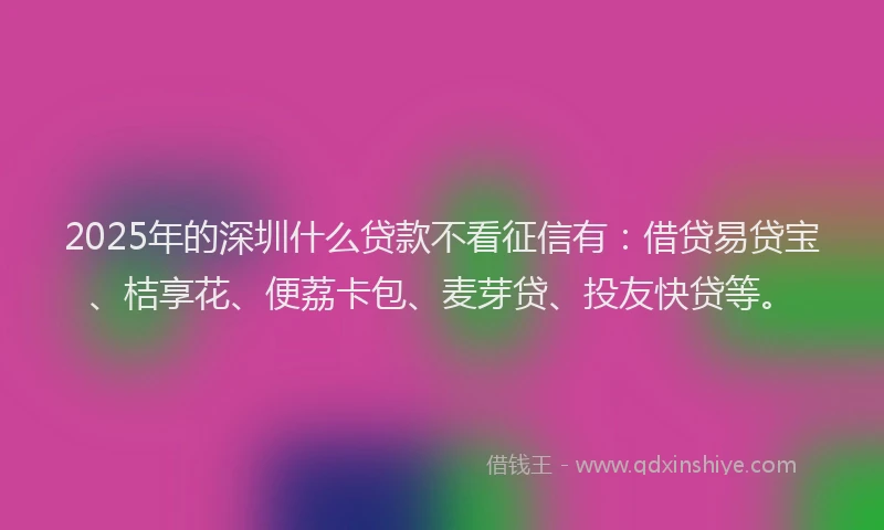 2025年的深圳什么贷款不看征信有：借贷易贷宝、桔享花、便荔卡包、麦芽贷、投友快贷等。