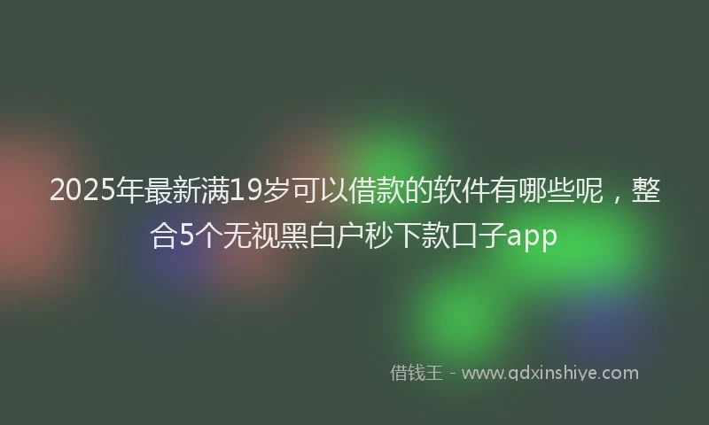 2025年最新满19岁可以借款的软件有哪些呢，整合5个无视黑白户秒下款口子app
