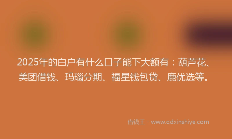 2025年的白户有什么口子能下大额有：葫芦花、美团借钱、玛瑙分期、福星钱包贷、鹿优选等。
