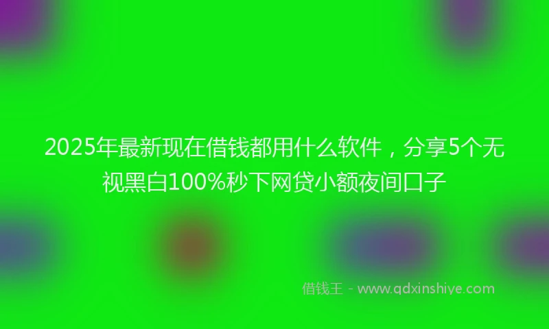 2025年最新现在借钱都用什么软件，分享5个无视黑白100%秒下网贷小额夜间口子