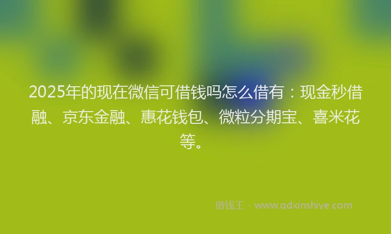 2025年的现在微信可借钱吗怎么借有：现金秒借融、京东金融、惠花钱包、微粒分期宝、喜米花等。