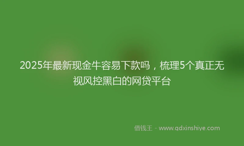 2025年最新现金牛容易下款吗，梳理5个真正无视风控黑白的网贷平台