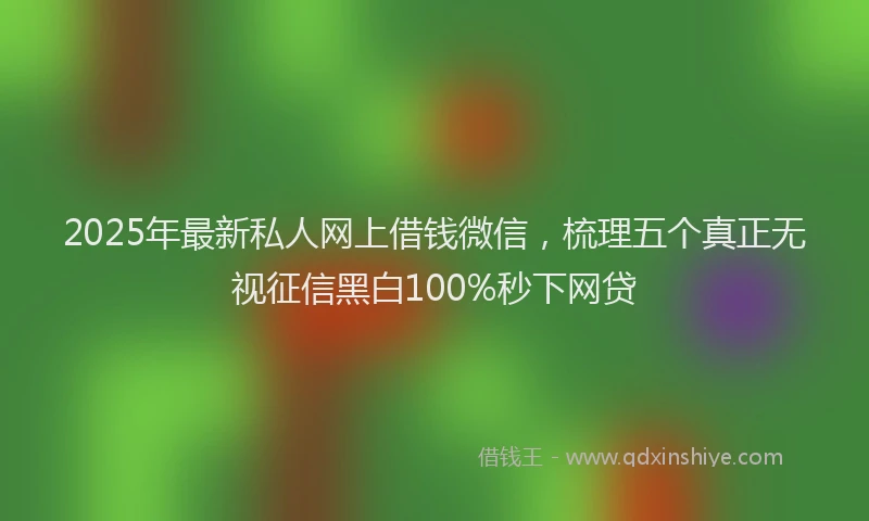 2025年最新私人网上借钱微信，梳理五个真正无视征信黑白100%秒下网贷