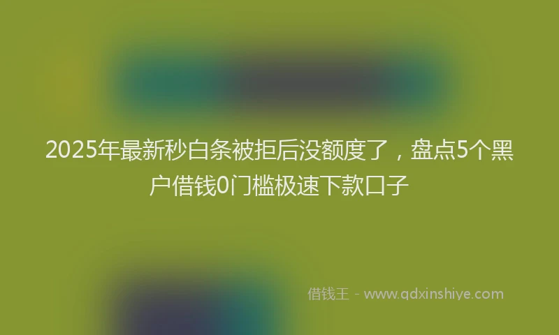 2025年最新秒白条被拒后没额度了，盘点5个黑户借钱0门槛极速下款口子