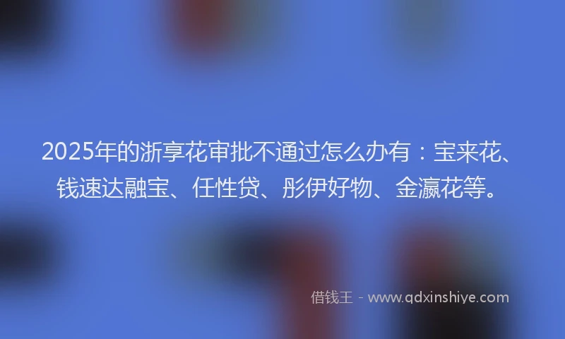 2025年的浙享花审批不通过怎么办有：宝来花、钱速达融宝、任性贷、彤伊好物、金瀛花等。