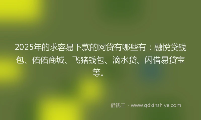 2025年的求容易下款的网贷有哪些有：融悦贷钱包、佑佑商城、飞猪钱包、滴水贷、闪借易贷宝等。