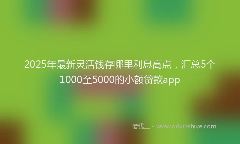2025年最新灵活钱存哪里利息高点，汇总5个1000至5000的小额贷款app
