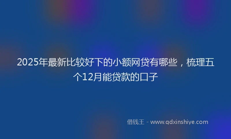 2025年最新比较好下的小额网贷有哪些，梳理五个12月能贷款的口子