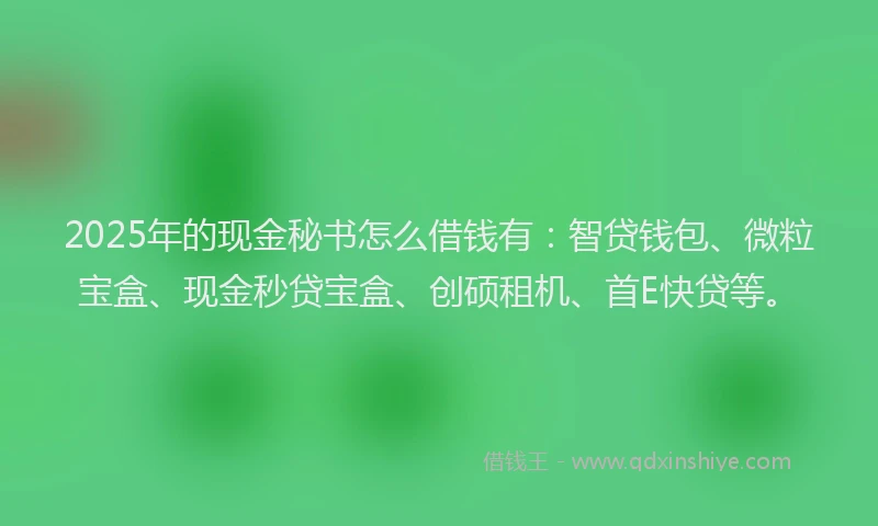 2025年的现金秘书怎么借钱有：智贷钱包、微粒宝盒、现金秒贷宝盒、创硕租机、首E快贷等。