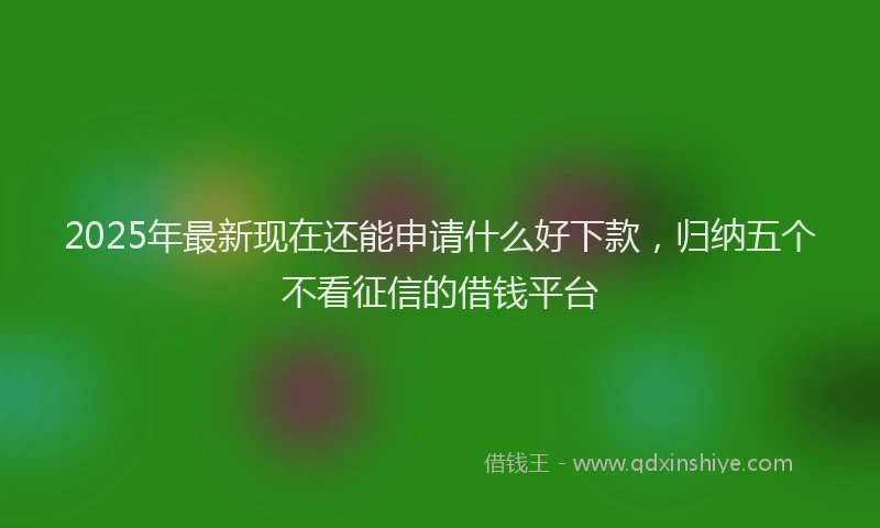 2025年最新现在还能申请什么好下款，归纳五个不看征信的借钱平台