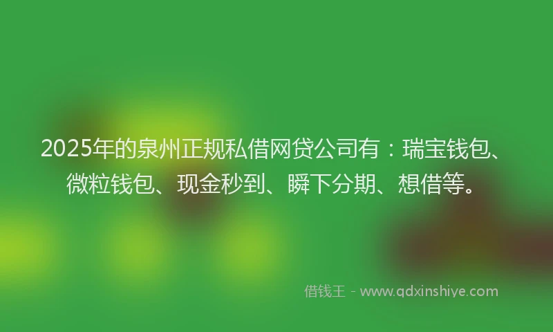 2025年的泉州正规私借网贷公司有：瑞宝钱包、微粒钱包、现金秒到、瞬下分期、想借等。