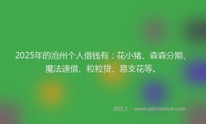 2025年的沧州个人借钱有：花小猪、森森分期、魔法速借、粒粒贷、易支花等。