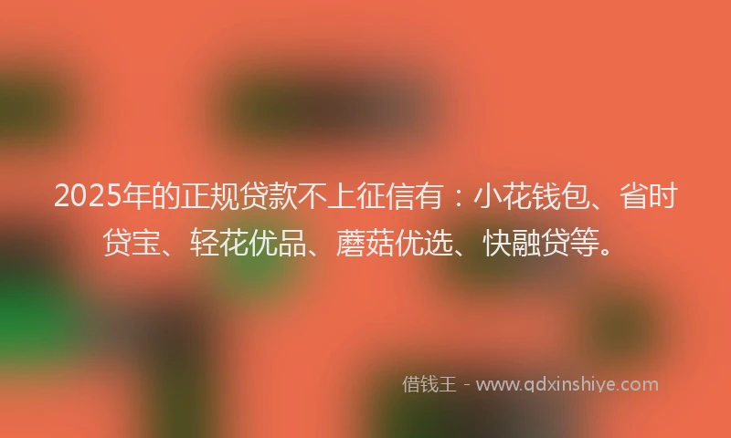 2025年的正规贷款不上征信有：小花钱包、省时贷宝、轻花优品、蘑菇优选、快融贷等。