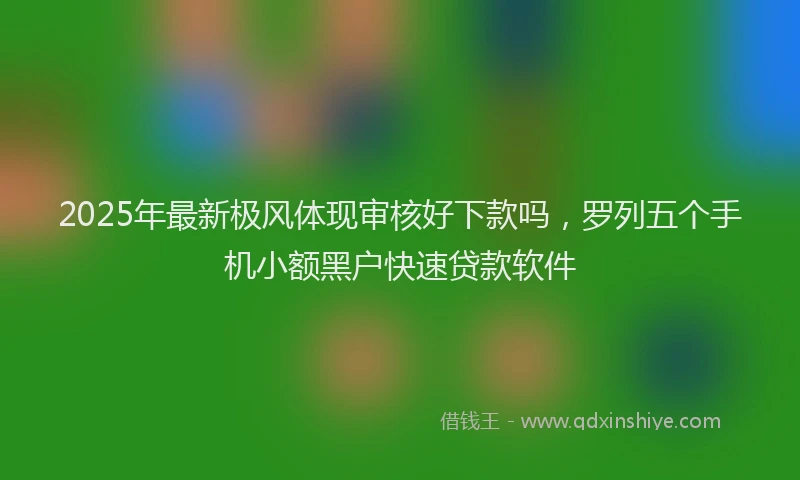 2025年最新极风体现审核好下款吗，罗列五个手机小额黑户快速贷款软件