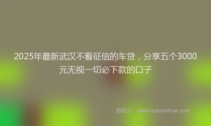 2025年最新武汉不看征信的车贷，分享五个3000元无视一切必下款的口子