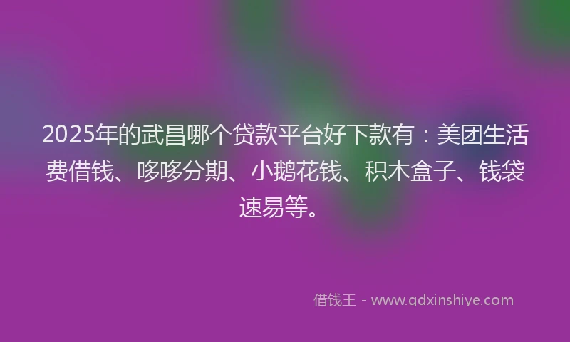 2025年的武昌哪个贷款平台好下款有：美团生活费借钱、哆哆分期、小鹅花钱、积木盒子、钱袋速易等。