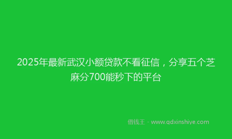 2025年最新武汉小额贷款不看征信，分享五个芝麻分700能秒下的平台