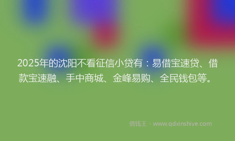 2025年的沈阳不看征信小贷有：易借宝速贷、借款宝速融、手中商城、金峰易购、全民钱包等。