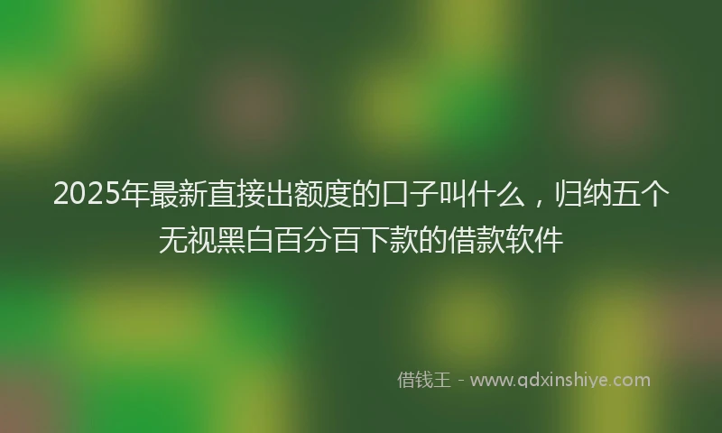 2025年最新直接出额度的口子叫什么，归纳五个无视黑白百分百下款的借款软件