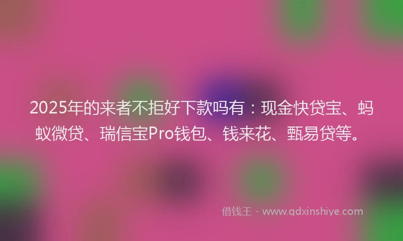 2025年的来者不拒好下款吗有：现金快贷宝、蚂蚁微贷、瑞信宝Pro钱包、钱来花、甄易贷等。