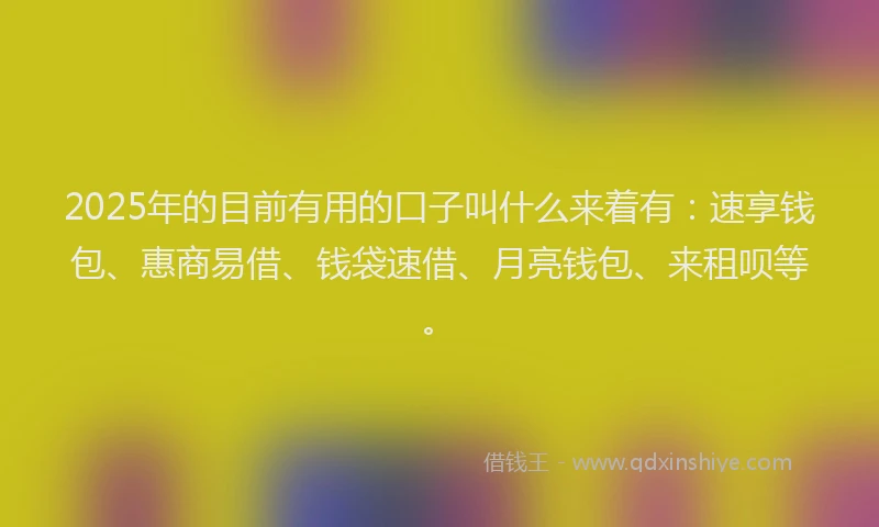 2025年的目前有用的口子叫什么来着有：速享钱包、惠商易借、钱袋速借、月亮钱包、来租呗等。