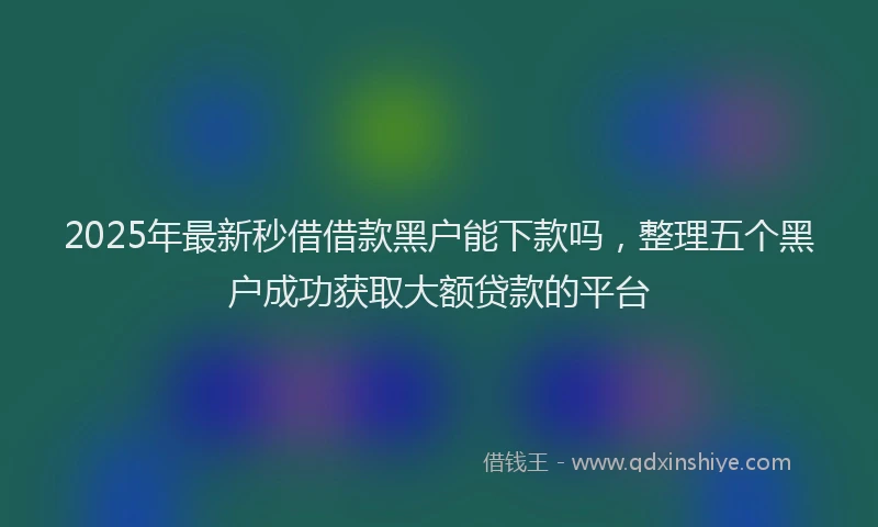2025年最新秒借借款黑户能下款吗，整理五个黑户成功获取大额贷款的平台