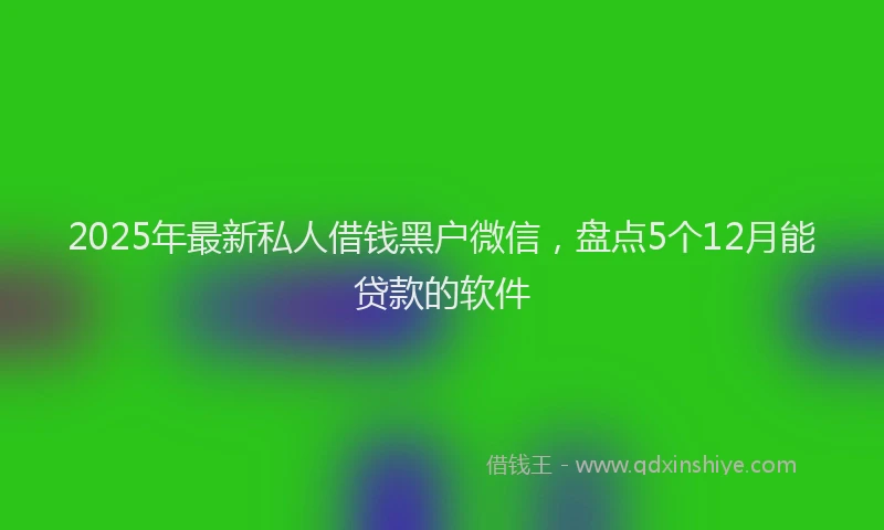 2025年最新私人借钱黑户微信，盘点5个12月能贷款的软件