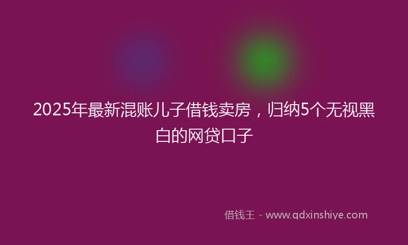 2025年最新混账儿子借钱卖房，归纳5个无视黑白的网贷口子