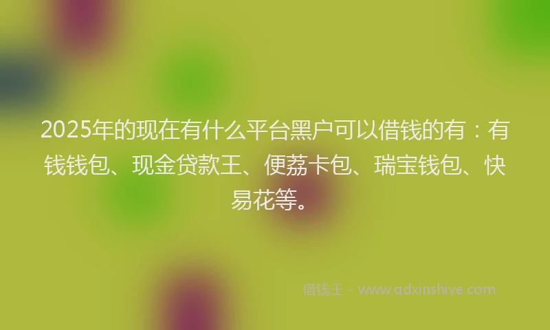 2025年的现在有什么平台黑户可以借钱的有：有钱钱包、现金贷款王、便荔卡包、瑞宝钱包、快易花等。