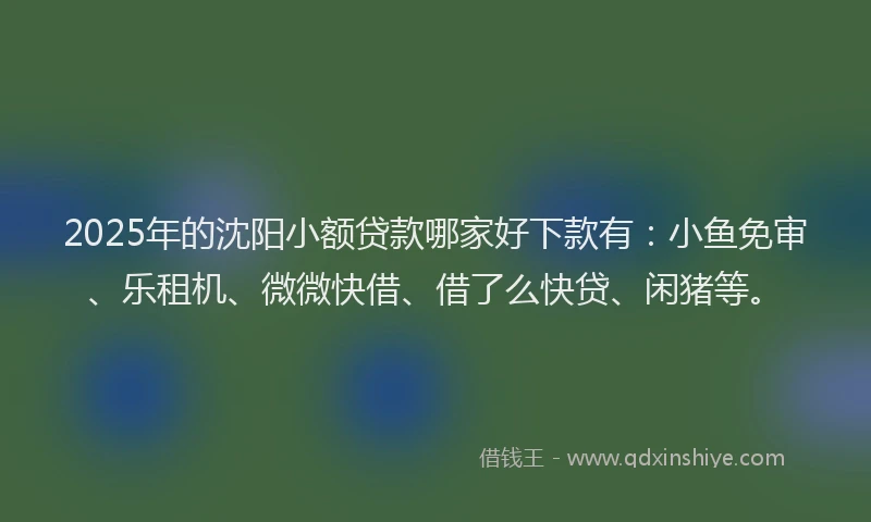 2025年的沈阳小额贷款哪家好下款有:小鱼免审、乐租机、微微快借、借了么快贷、闲猪等。