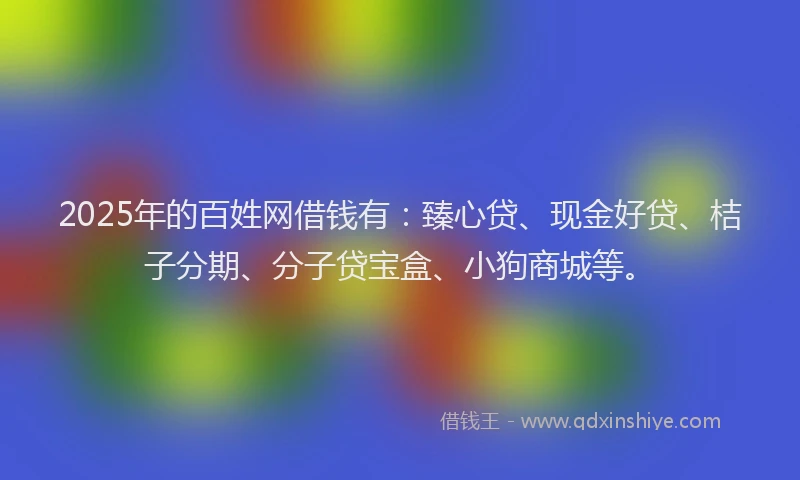 2025年的百姓网借钱有：臻心贷、现金好贷、桔子分期、分子贷宝盒、小狗商城等。