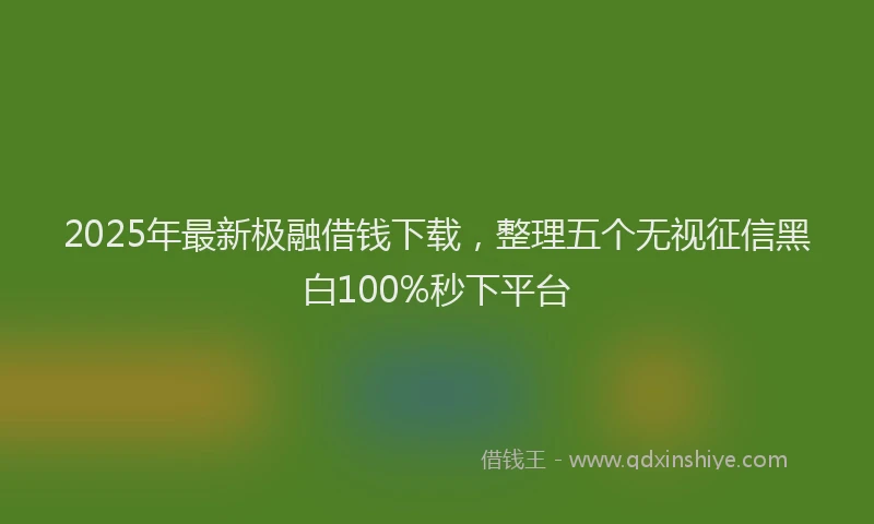 2025年最新极融借钱下载，整理五个无视征信黑白100%秒下平台