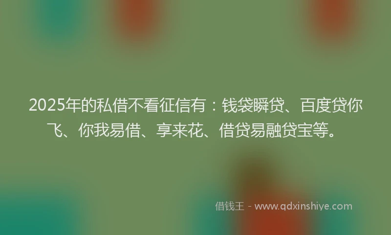 2025年的私借不看征信有：钱袋瞬贷、百度贷你飞、你我易借、享来花、借贷易融贷宝等。