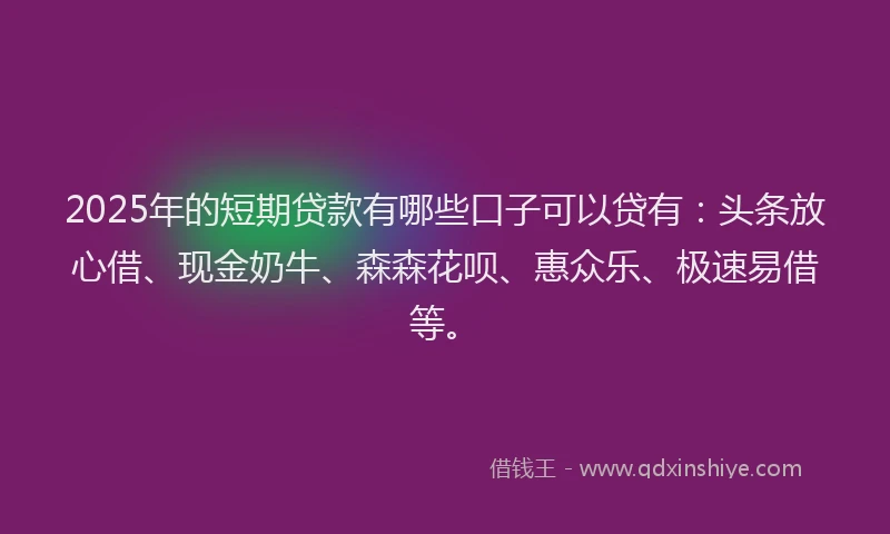 2025年的短期贷款有哪些口子可以贷有：头条放心借、现金奶牛、森森花呗、惠众乐、极速易借等。