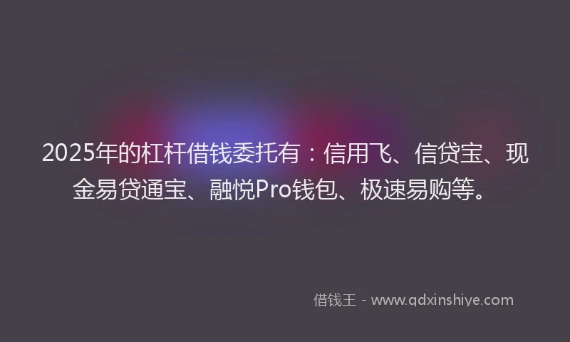 2025年的杠杆借钱委托有：信用飞、信贷宝、现金易贷通宝、融悦Pro钱包、极速易购等。
