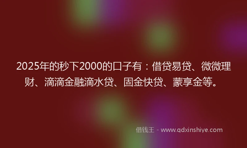 2025年的秒下2000的口子有：借贷易贷、微微理财、滴滴金融滴水贷、固金快贷、蒙享金等。