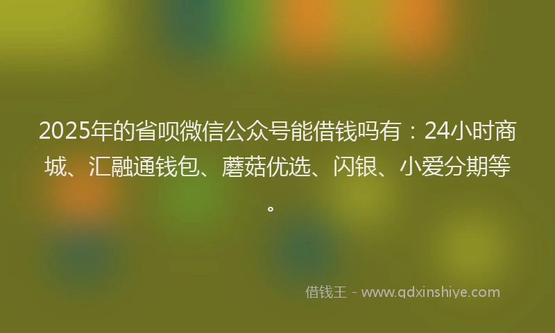 2025年的省呗微信公众号能借钱吗有：24小时商城、汇融通钱包、蘑菇优选、闪银、小爱分期等。
