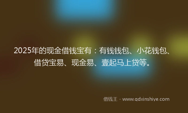 2025年的现金借钱宝有:有钱钱包、小花钱包、借贷宝易、现金易、壹起马上贷等。